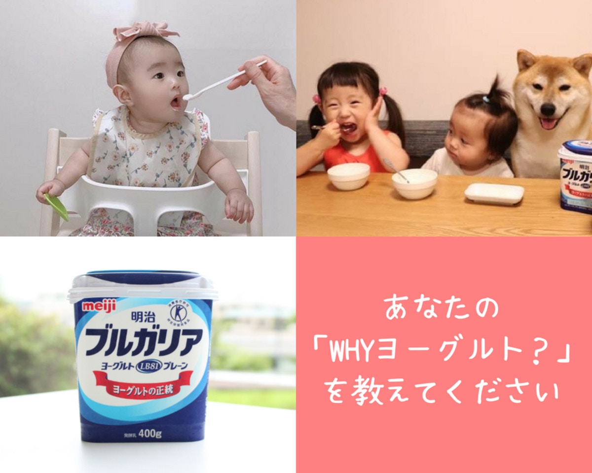 毎朝ヨーグルトを食べる理由って インスタママと管理栄養士に Why を聞いてみた ママリ 毎朝ヨーグルトを食べる理由って インスタママと管理栄養士に Why を聞いてみた ママリ