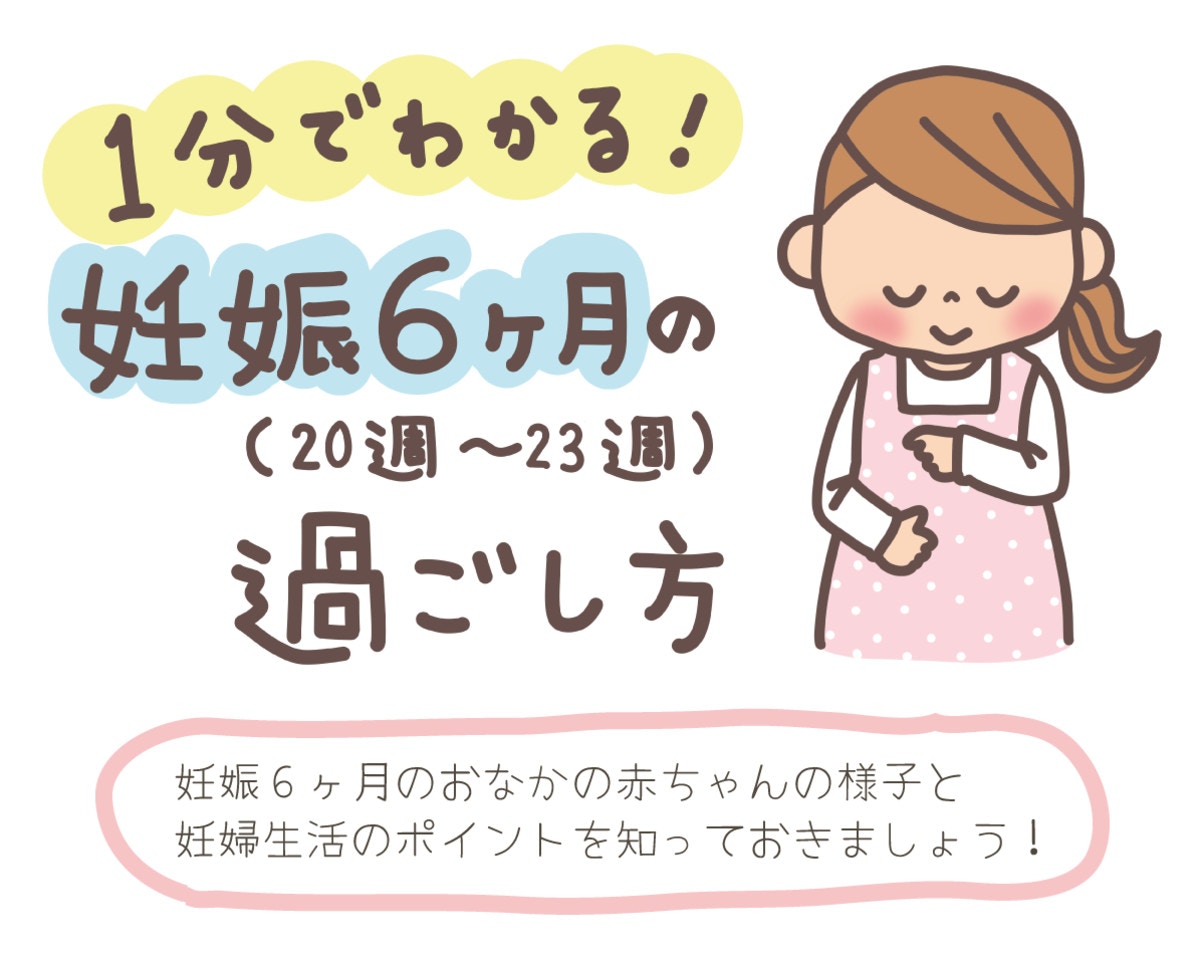 1分でわかる！妊娠6ヶ月(20週～23週)の過ごし方とおなかの赤ちゃんの成長 [ママリ]