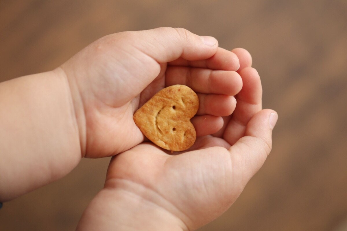 1歳児におすすめのおやつを解説 市販のお菓子はあげていい ママリ 1歳児におすすめのおやつを解説 市販のお菓子はあげていい ママリ