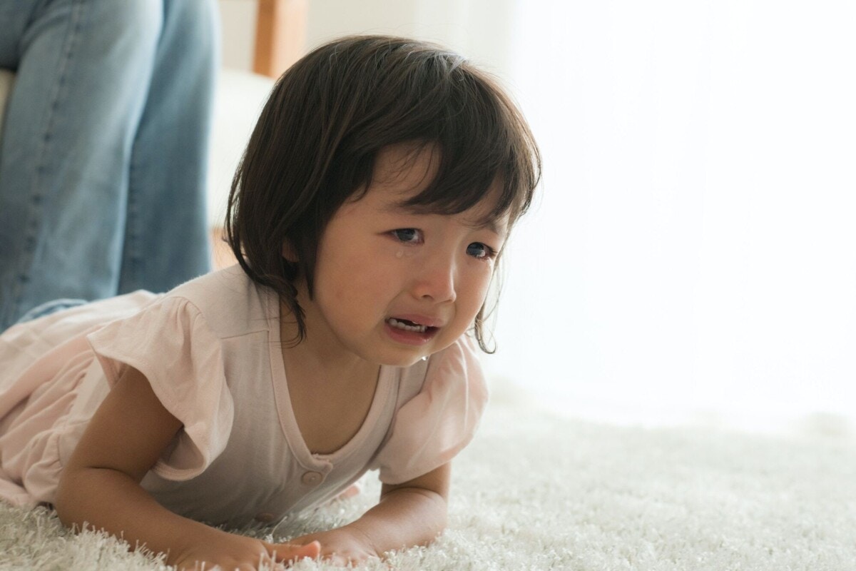 2歳児のイヤイヤ期突入 物を投げたりたたいたり どう対応すべきなの 叱っていいの ママリ 2歳児のイヤイヤ期突入 物を投げたりたたいたり どう対応すべきなの 叱っていいの ママリ