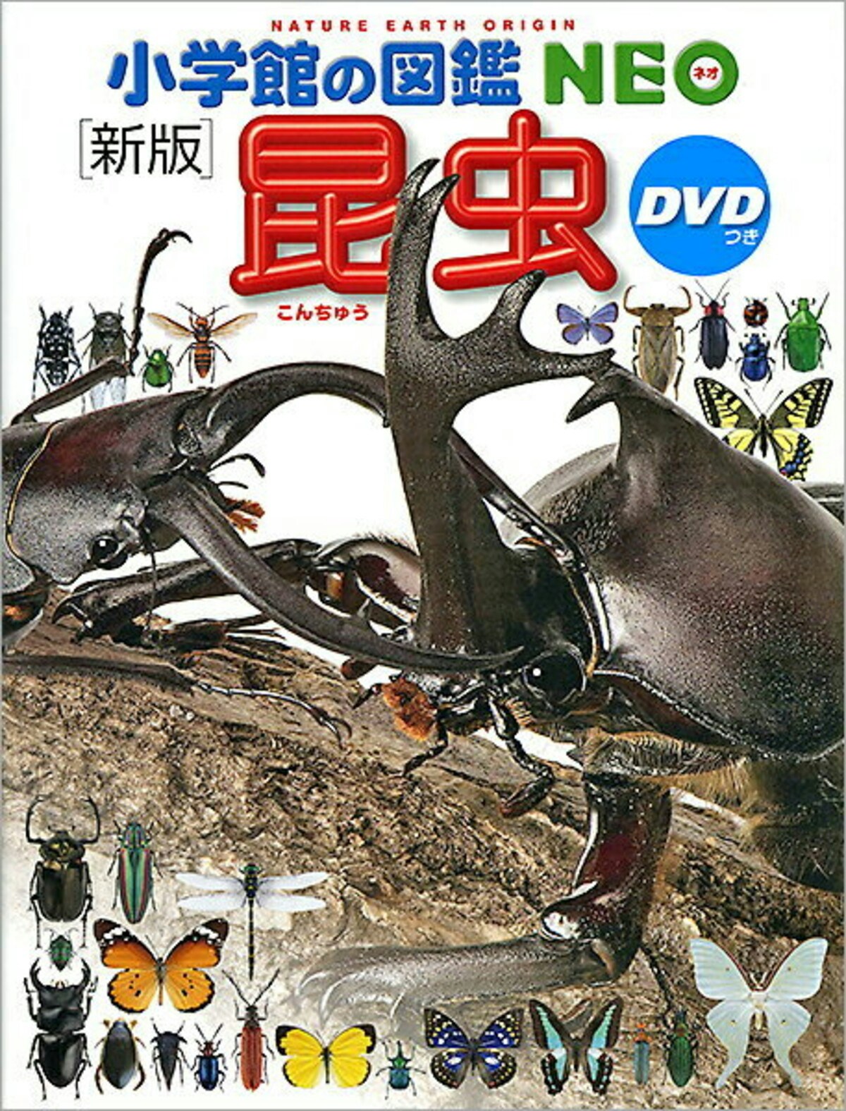 小学館の図鑑NEO 〔新版〕昆虫（DVD付き）