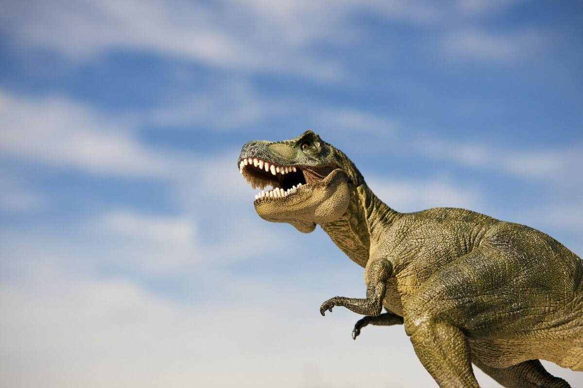 恐竜好きの子どもと楽しもう 関東にある恐竜博物館9選 ママリ