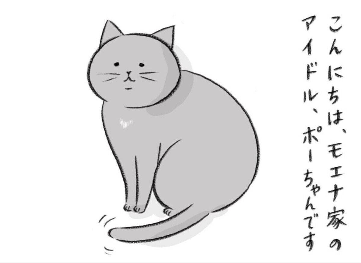 人間よりも短い命だけれど、愛情はいっぱい持っている。ある猫の物語