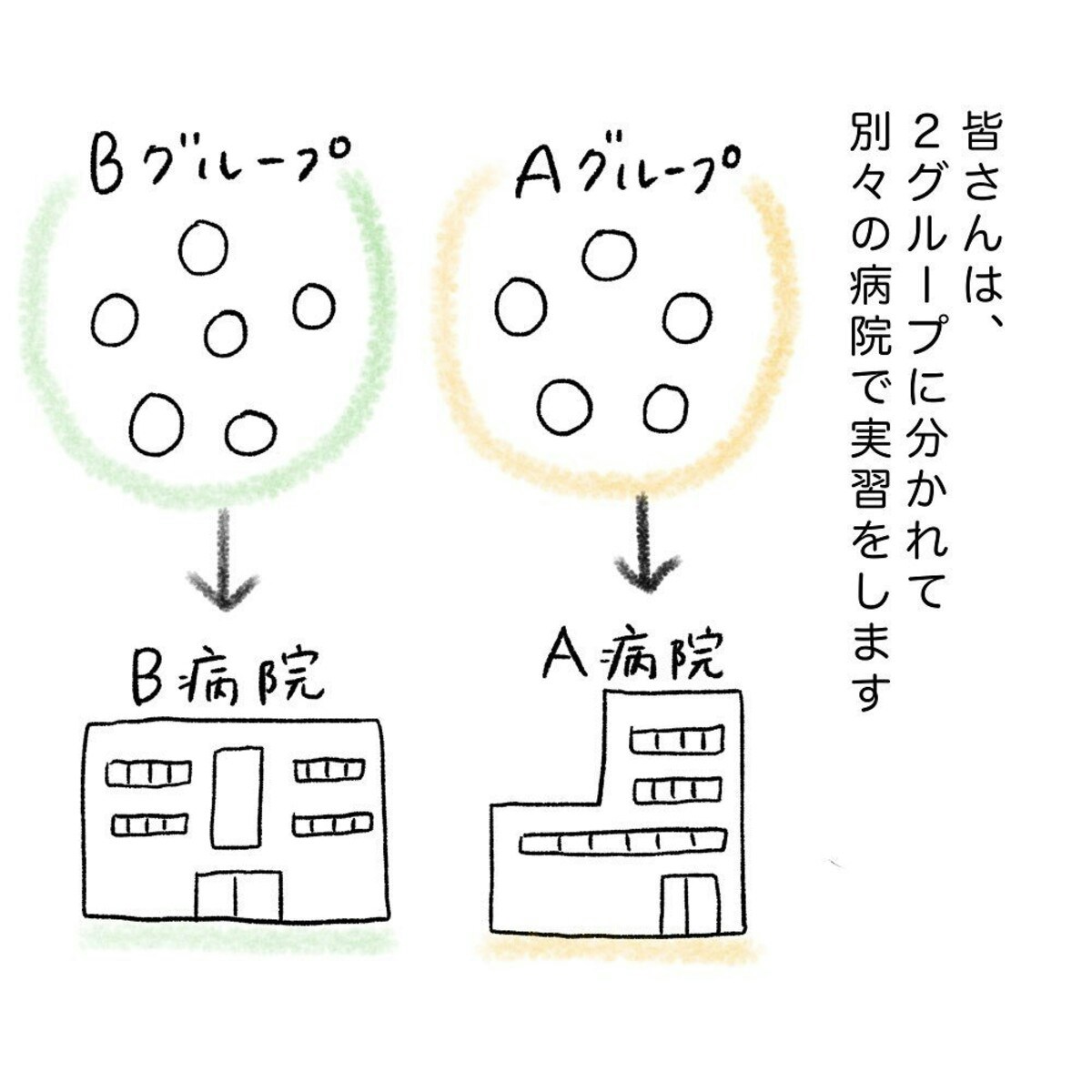 助産学科の実習が始まった…分娩介助の呼び出しは24時間体制