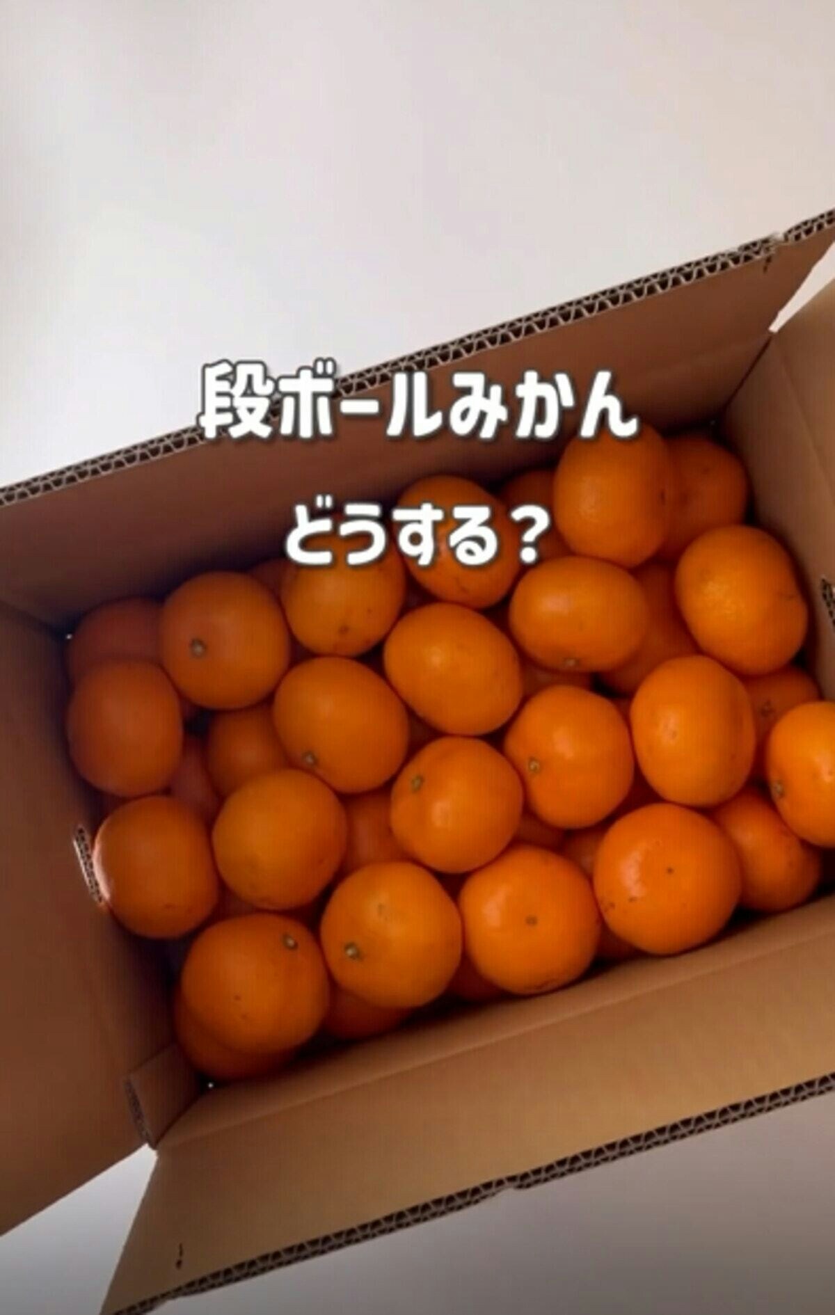 1200x0_65c5ed7d-c92c-4a8c-80cf