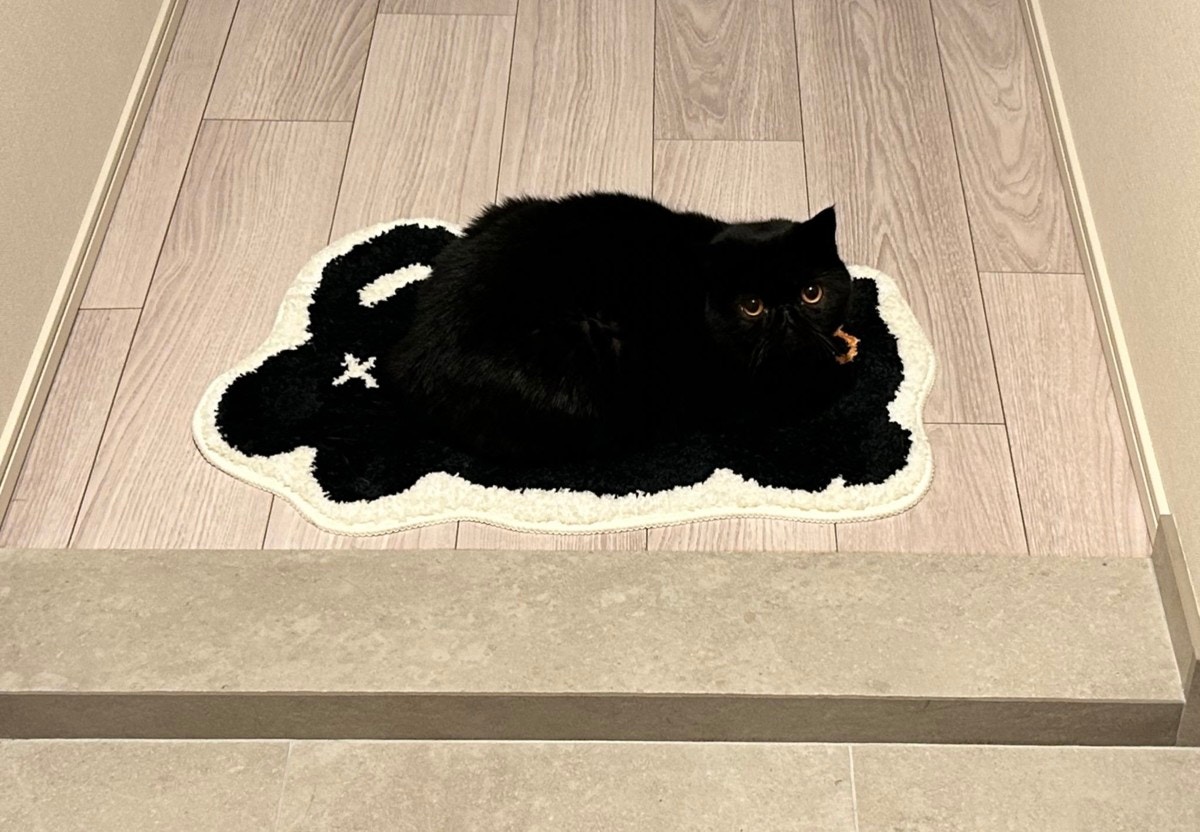 足元注意！マットに同化する猫の姿に7.9万いいね「ふ、踏んじゃいそう