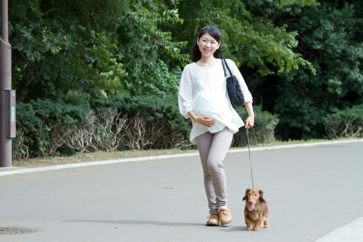 犬