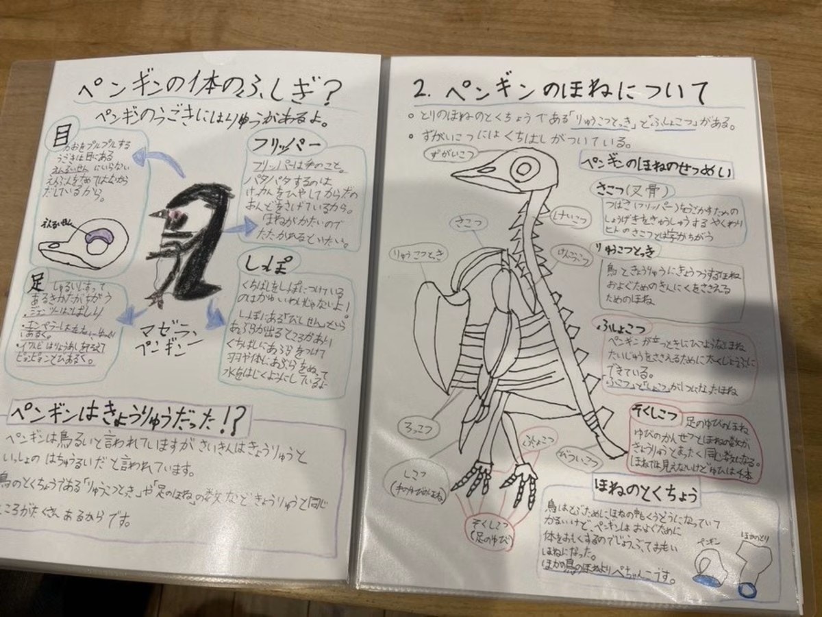 蝶標本 キンちゃん様専用 リクエスト品 【公式通販】
