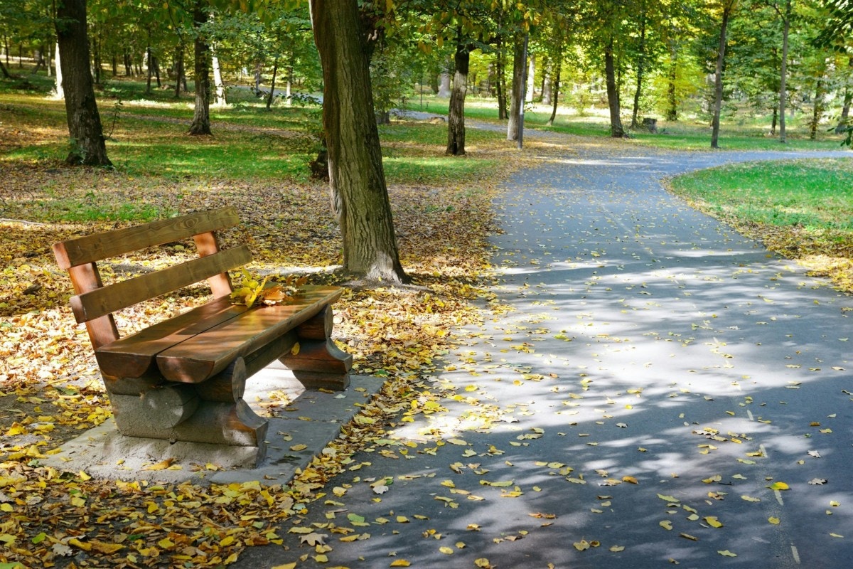 公園　ベンチ