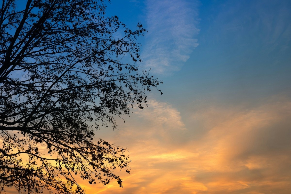 夕日