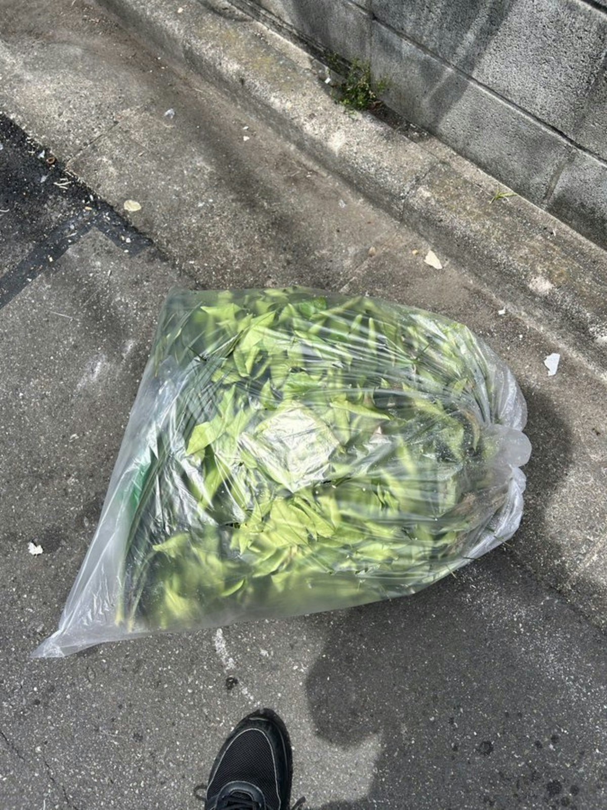 ゴミ収集員芸人が「助かります」と投稿、ゴミに貼られた貼り紙に