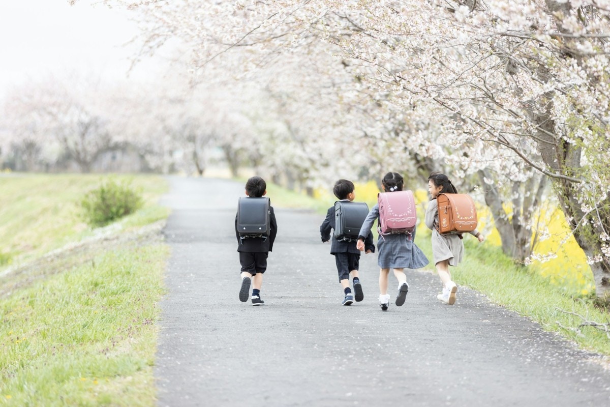 桜　ランドセル