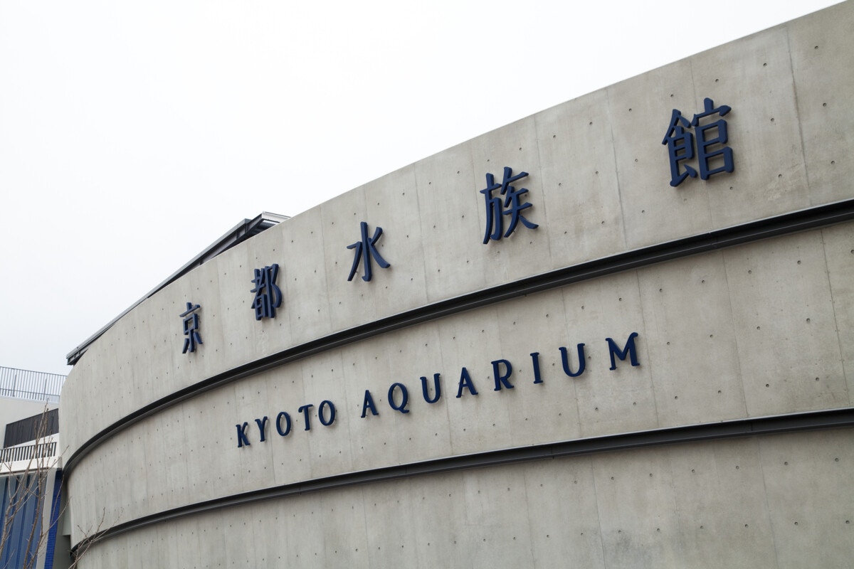 京都水族館