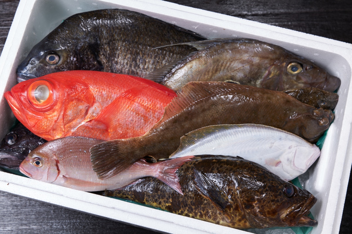 鮮魚