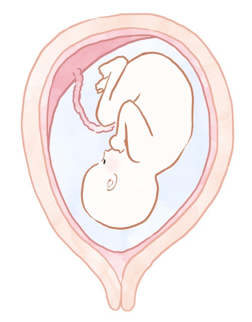いざ出産 子宮口は何センチ開いている 体験談 ママリ