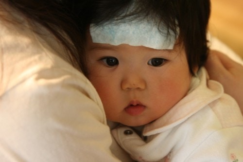 かりて ビュッフェ 日常的に 赤ちゃん 6 ヶ月 体重 Tsuchiyashika Jp