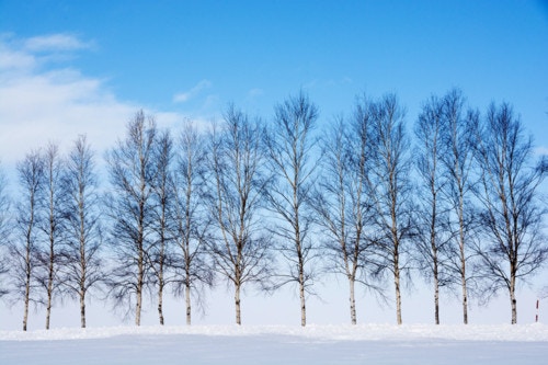 雪