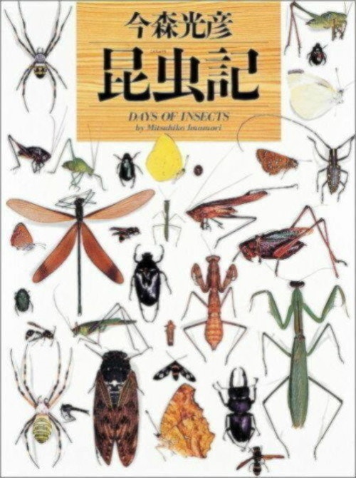 1冊で長く楽しめる昆虫図鑑10商品とnhk チームラボの ものすごい図鑑 ご紹介 ママリ