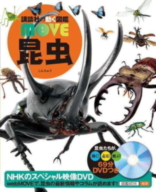 1冊で長く楽しめる昆虫図鑑10商品とnhk チームラボの ものすごい図鑑 ご紹介 ママリ