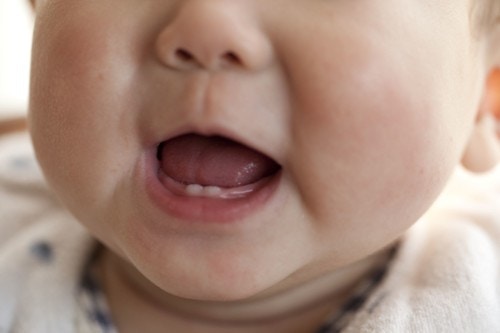 最初はガーゼでok 乳歯が生えてくると考えるはじめる 歯磨き わが家の場合を紹介 ママリ 最初はガーゼでok 乳歯が生えてくると考えるはじめる 歯磨き わが家の場合を紹介 ママリ