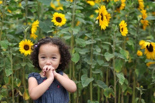 夏は肌着を着せる？着せない？「1歳児の夏服」についてママの意見は