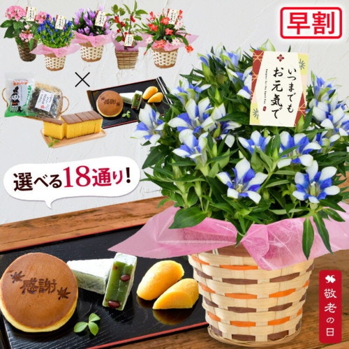 フラワーマーケットhanayoshi 選べる18通り♪秋の花鉢＆グルメの敬老の日セット☆