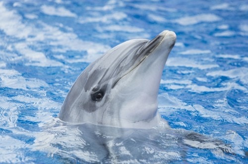 水族館