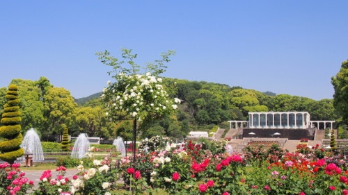 神戸市立須磨離宮公園