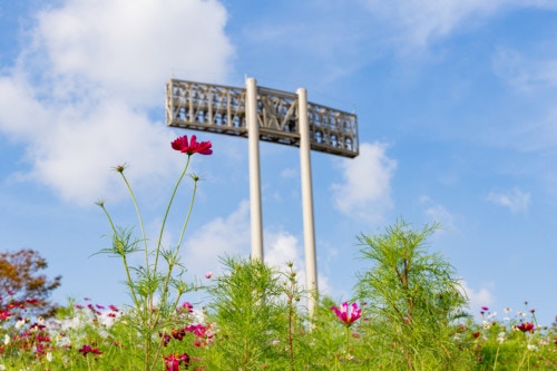 神戸総合運動公園