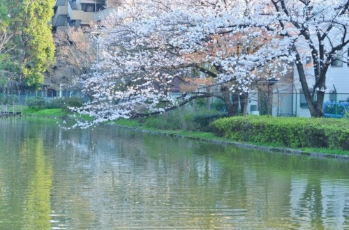 平和の森公園