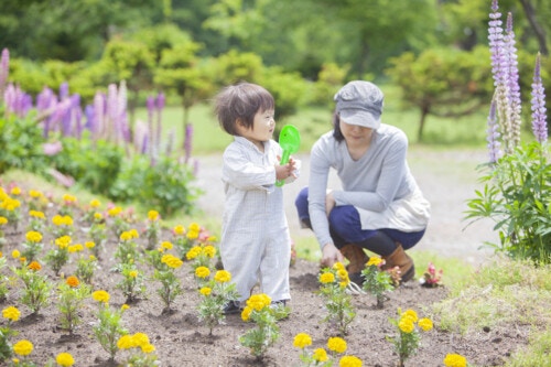 赤ちゃん　花