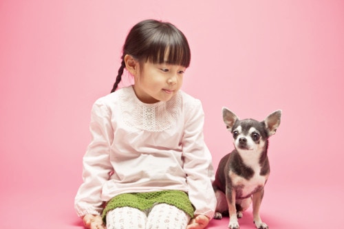 ペットがいる家庭に赤ちゃんがやってきた ペット達の反応はどうだった ママリ ペットがいる家庭に赤ちゃんがやってきた ペット達の反応はどうだった ママリ