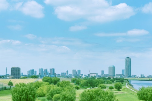 緑地