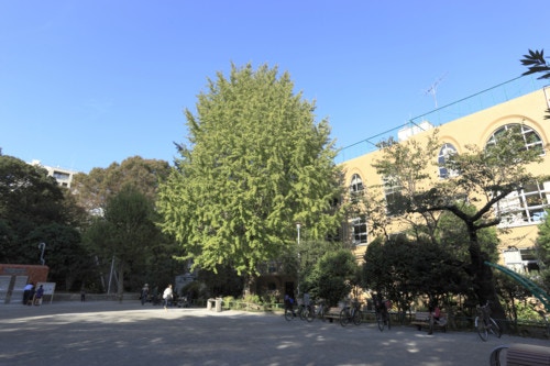 東郷元帥記念公園