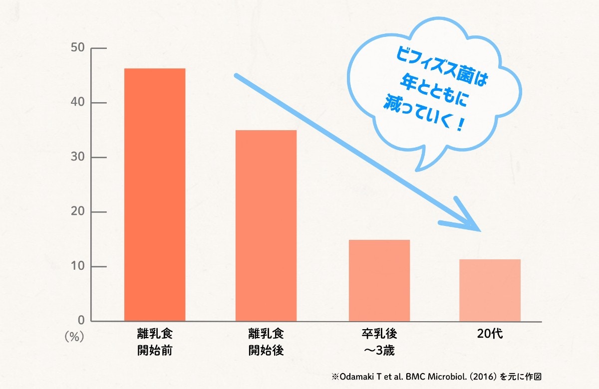 年とともに減るビフィズス菌